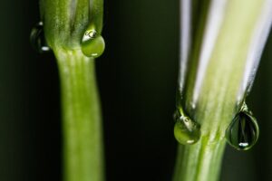 50代が知っておくべき保険の入院日額はいくらが適正なの？