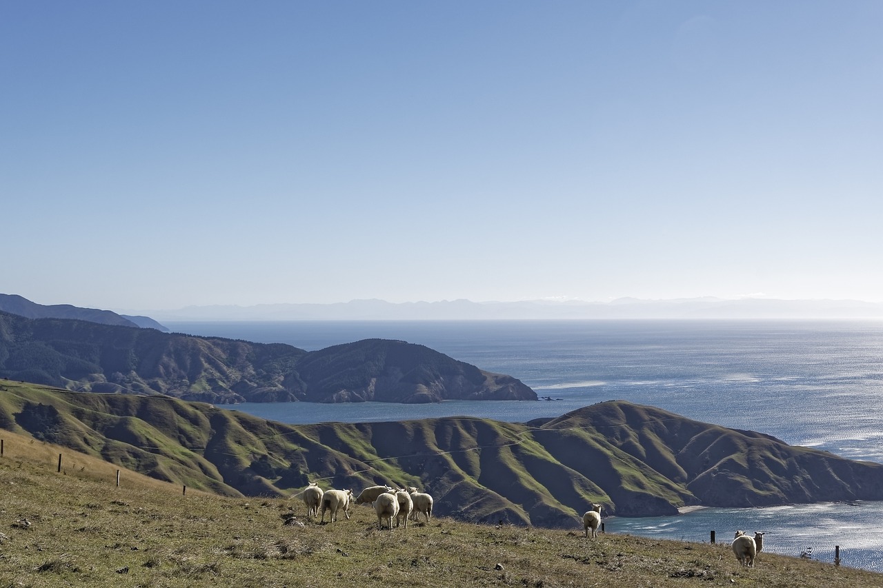 保険料の支払いは年払と月払のどっちが得なの？