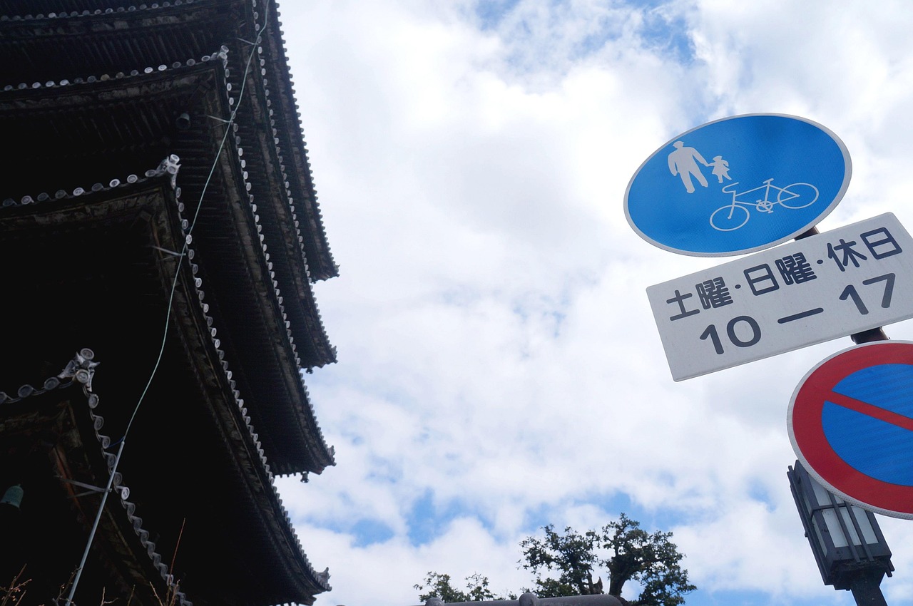 帰国子女保険の日本での対応について知っておくべきことは？