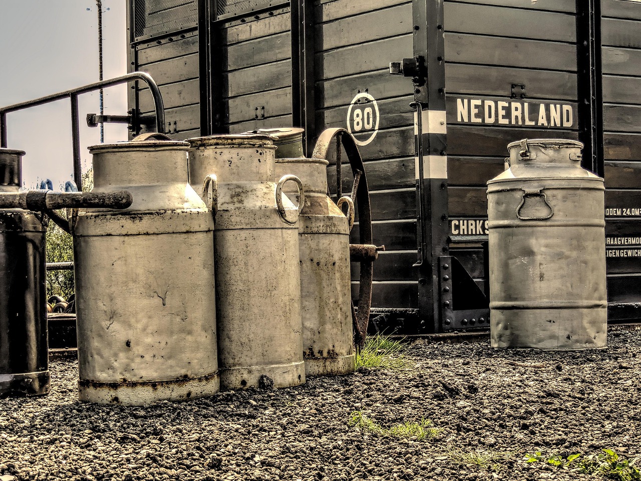 終身保険の解約返戻金がいつがピークなのか知りたい？