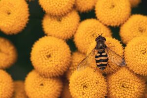 花粉症でも保険の告知は必要なのか？